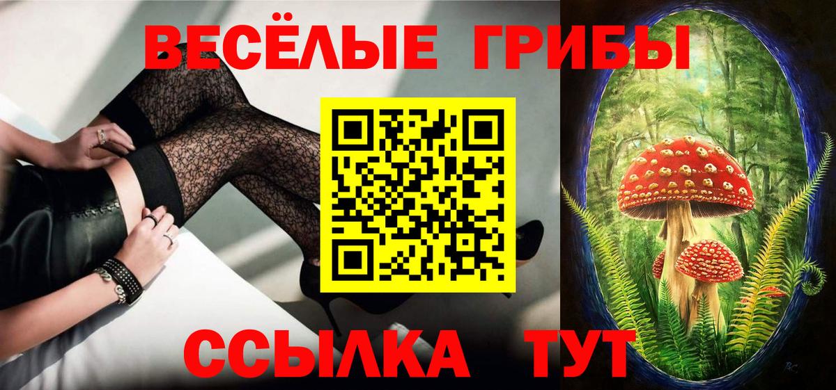 Галлюциногенные грибы Psilocybine cubensis Усть-Илимск