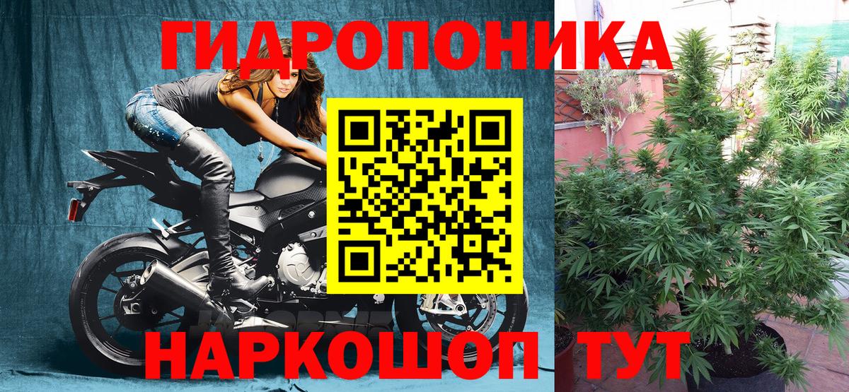 Каннабис Ganja  Бошки Шишки OG Kush  Бошки марихуана OG Kush  Усть-Илимск  Вход с VPN 